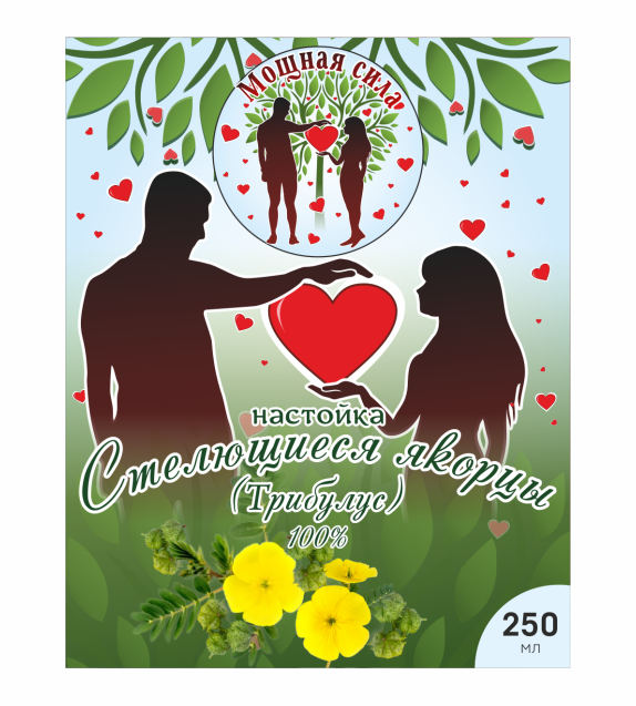 Я н Настойка стелющиеся якорцы